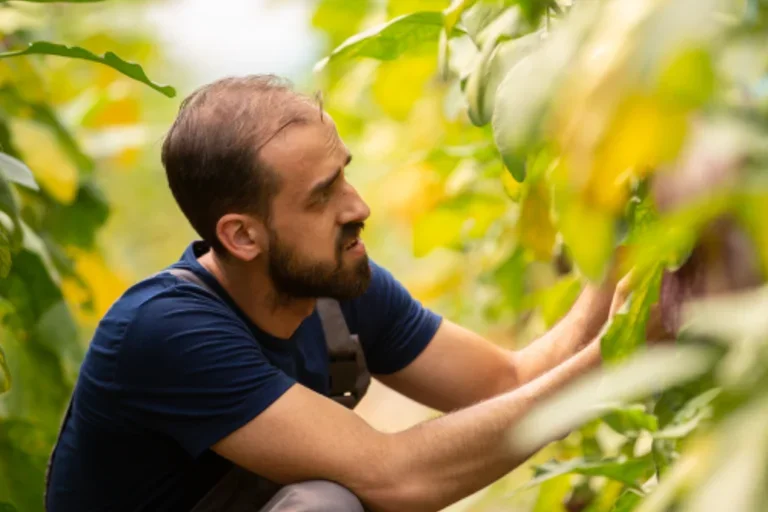 Man farming crops